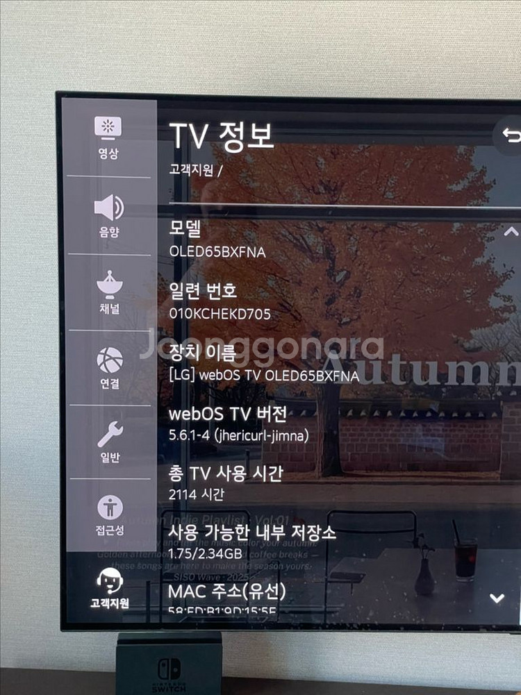 LG OLED 65인치 [OLED65BXFNA]--4