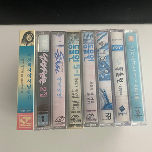 카세트 테이프 동물원, 이선희, 낯선사람들