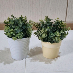 인테리어 조화 화분 2개