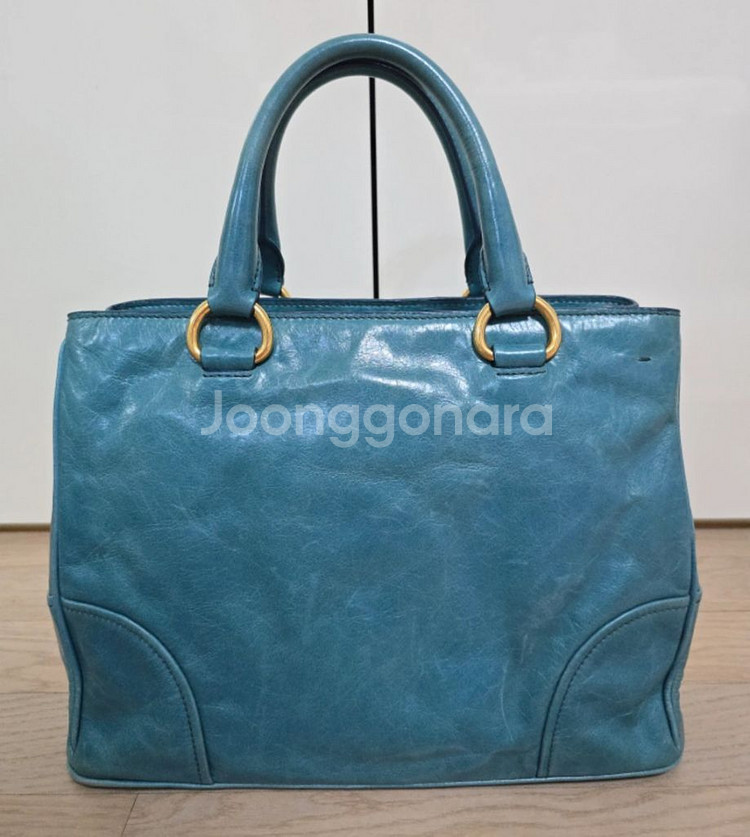 프라다 물소가죽 백--1