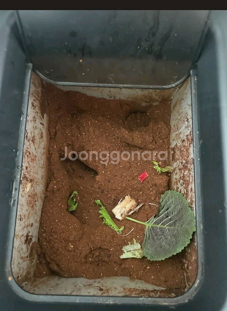 웰싱 미생물 음식물처리기 웰싱 w-150a--6