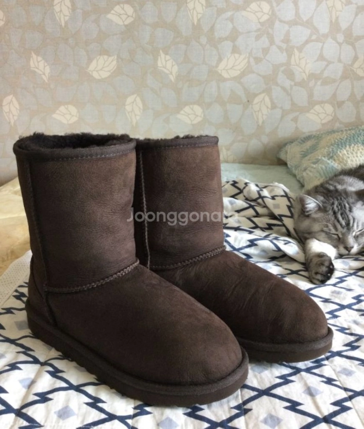 어그UGG키즈 정품 215 어그부츠 이미지