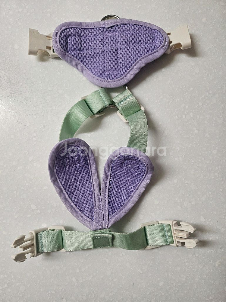 하르나르 하네스 라벤더&민트 XS + 리드줄 세트 판매--1