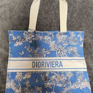 디올 리비에라 2025 에코백