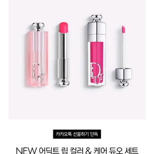 디올 립 글로우 립 맥시마이저 듀오