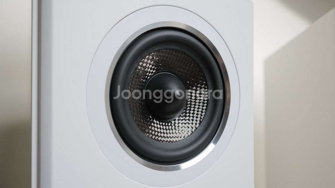 PSB Imagine T54 + 블루사운드 파워노드 3--1