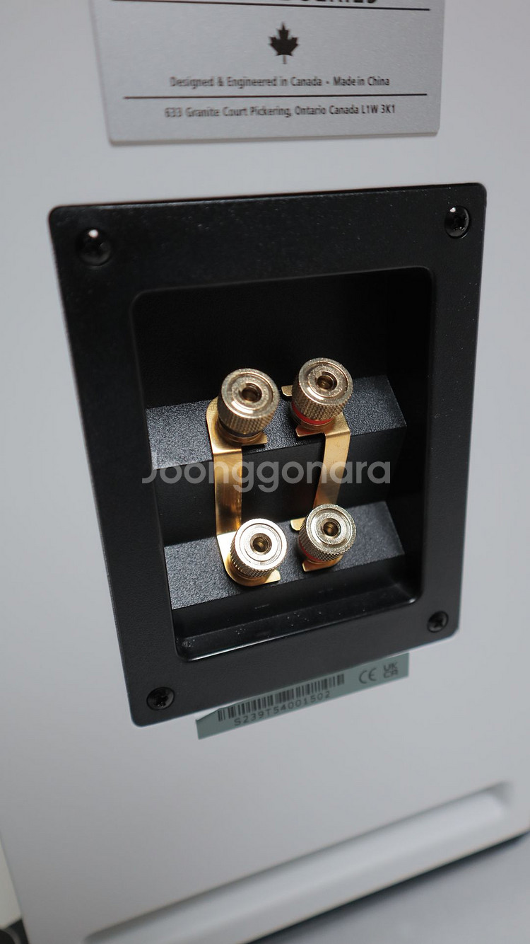 PSB Imagine T54 + 블루사운드 파워노드 3--4