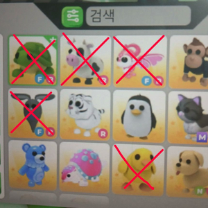 입양하세요 펫 팔아요!