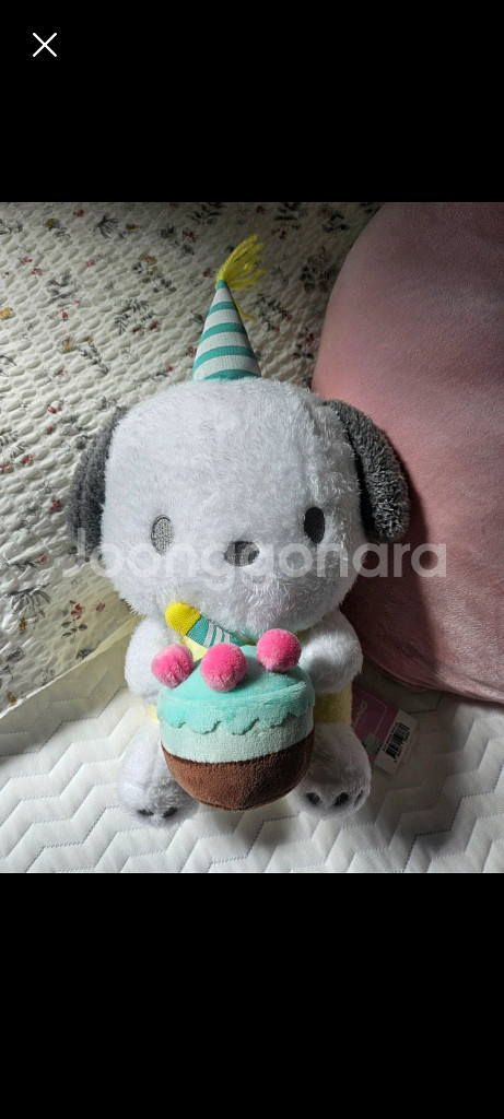 산리오 포차코 생일 인형--0