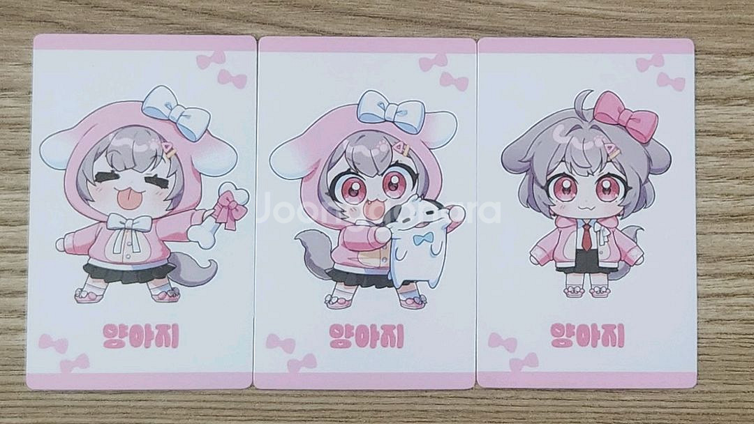 양아지 SD 포토카드 3종--0