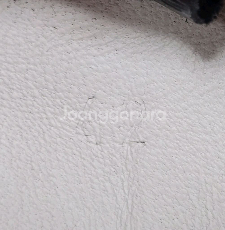 에르메스 바운싱 스니커즈 신발 42사이즈 270 275--6