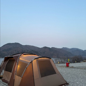 코베아 네스트2