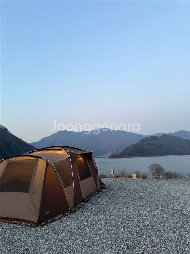 코베아 네스트2--1