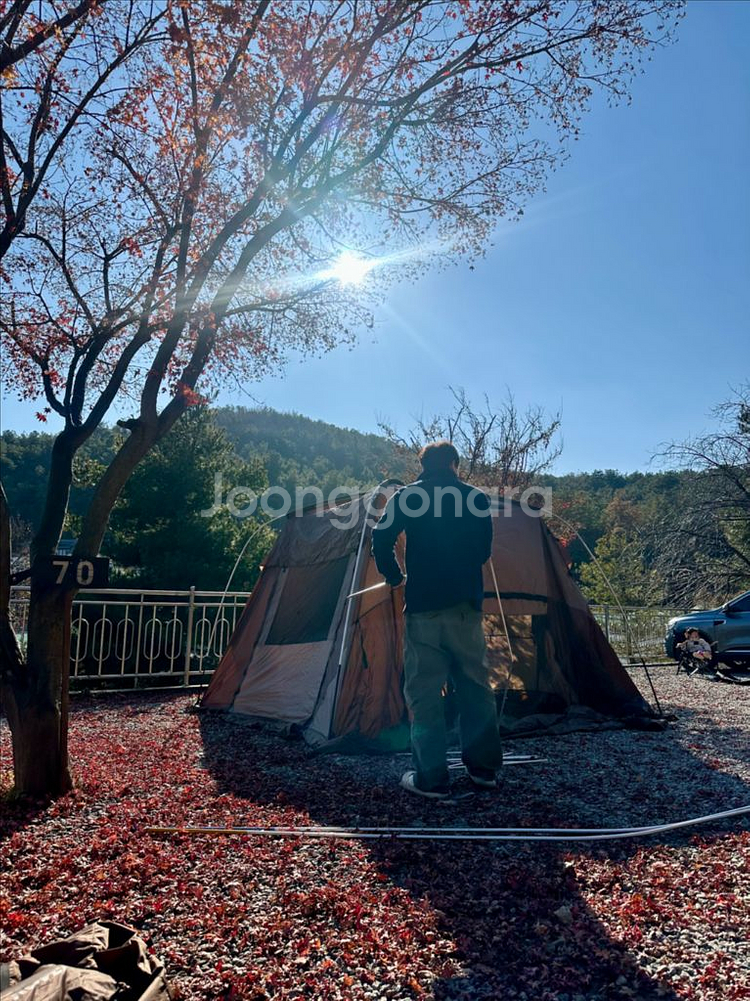 코베아 네스트2--4