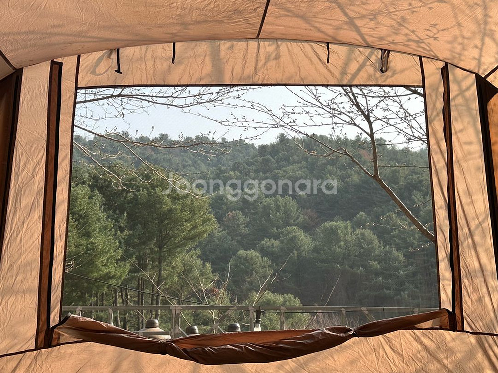 코베아 네스트2--6