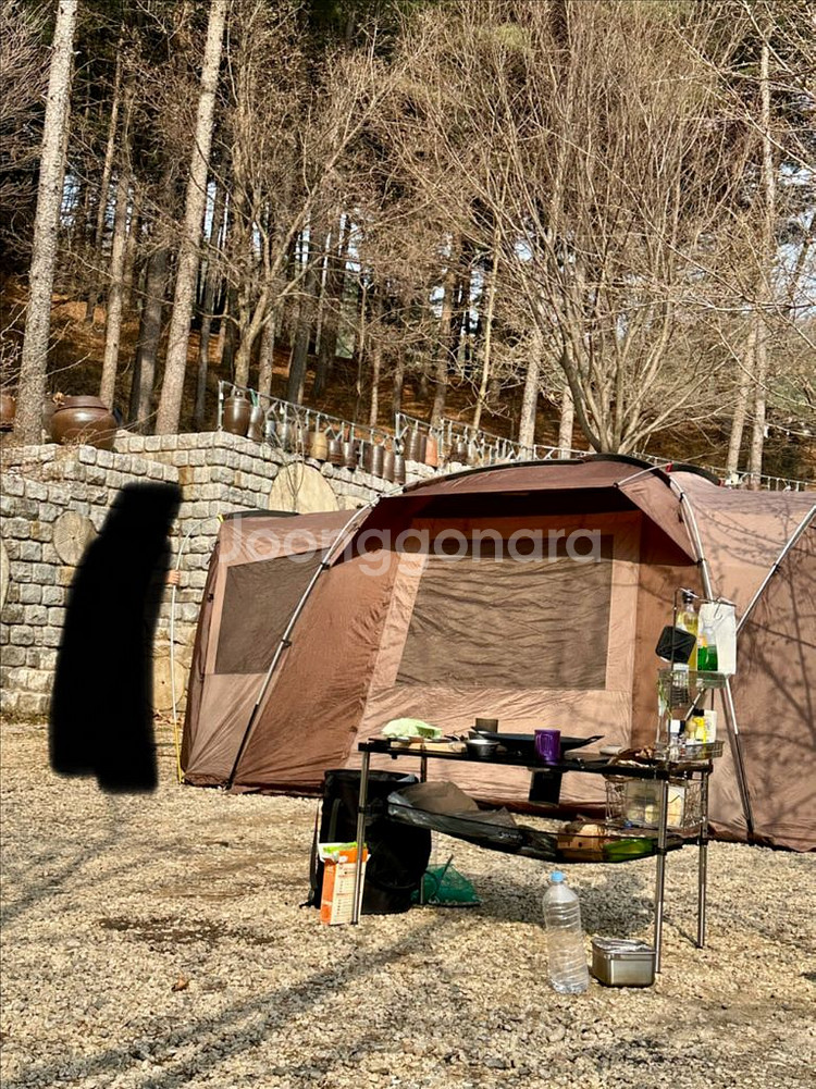 코베아 네스트2--5