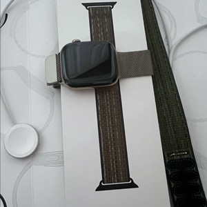 애플워치 10 티타늄 골드 46 셀룰러