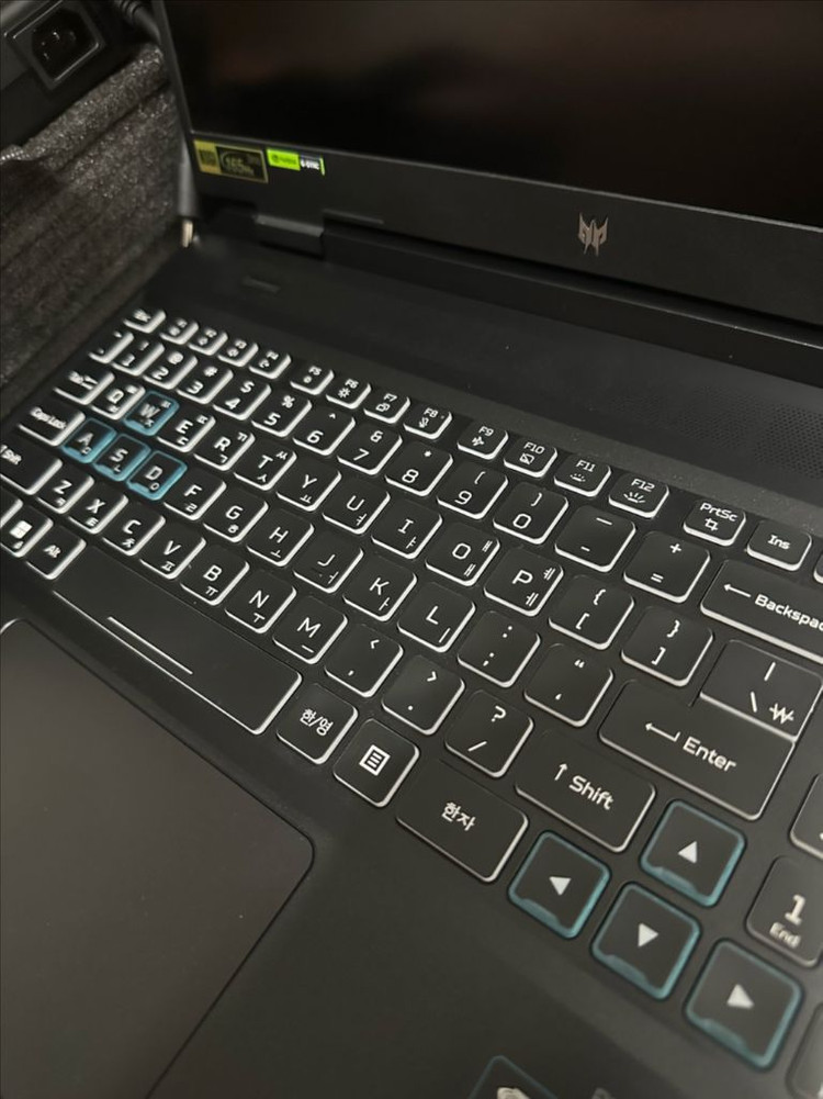 Acer 프레다터 | i5-13500HX|RTX4060 이미지