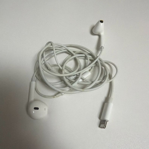 아이폰 정품 이어폰