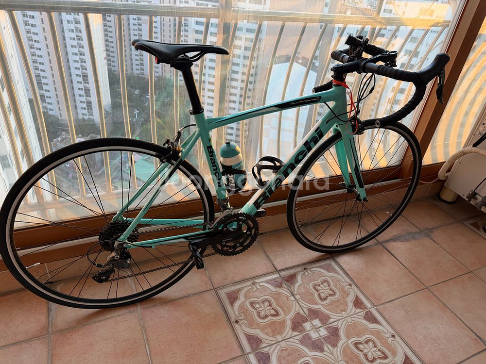 비앙키 니로네7팝니다--0