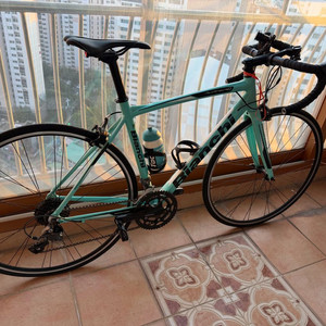 비앙키 니로네7팝니다