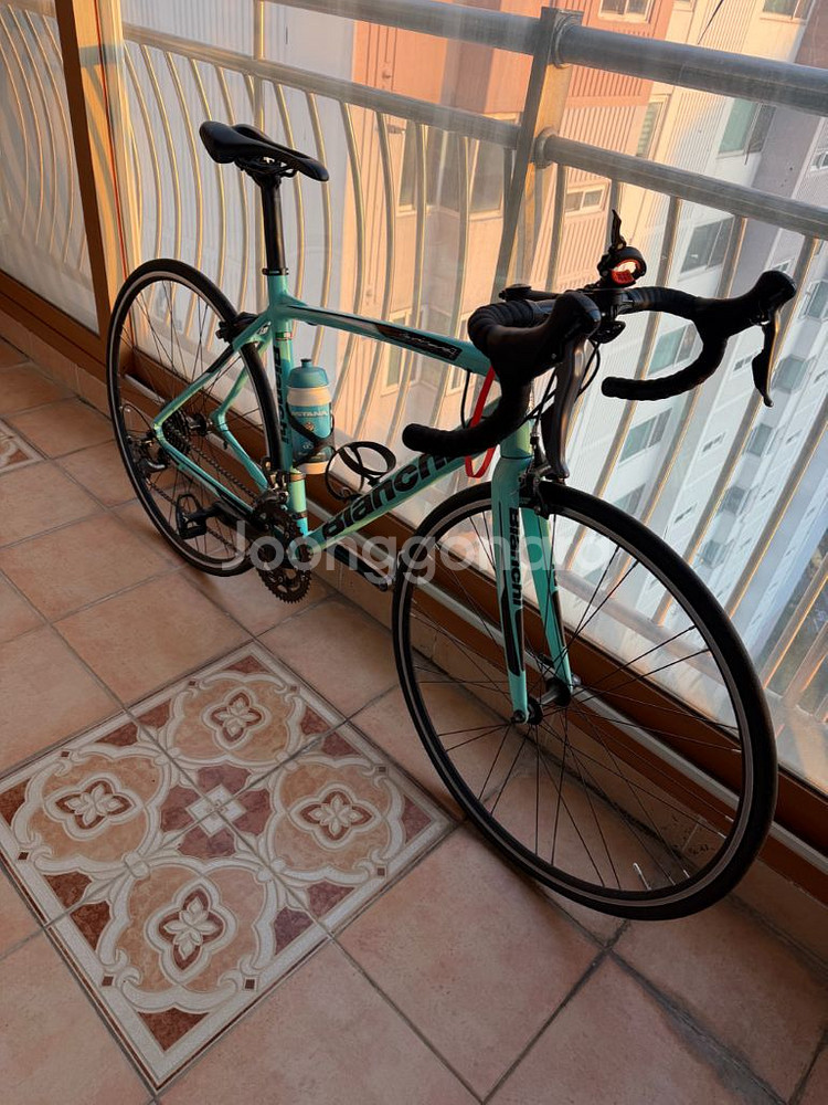 비앙키 니로네7팝니다--2