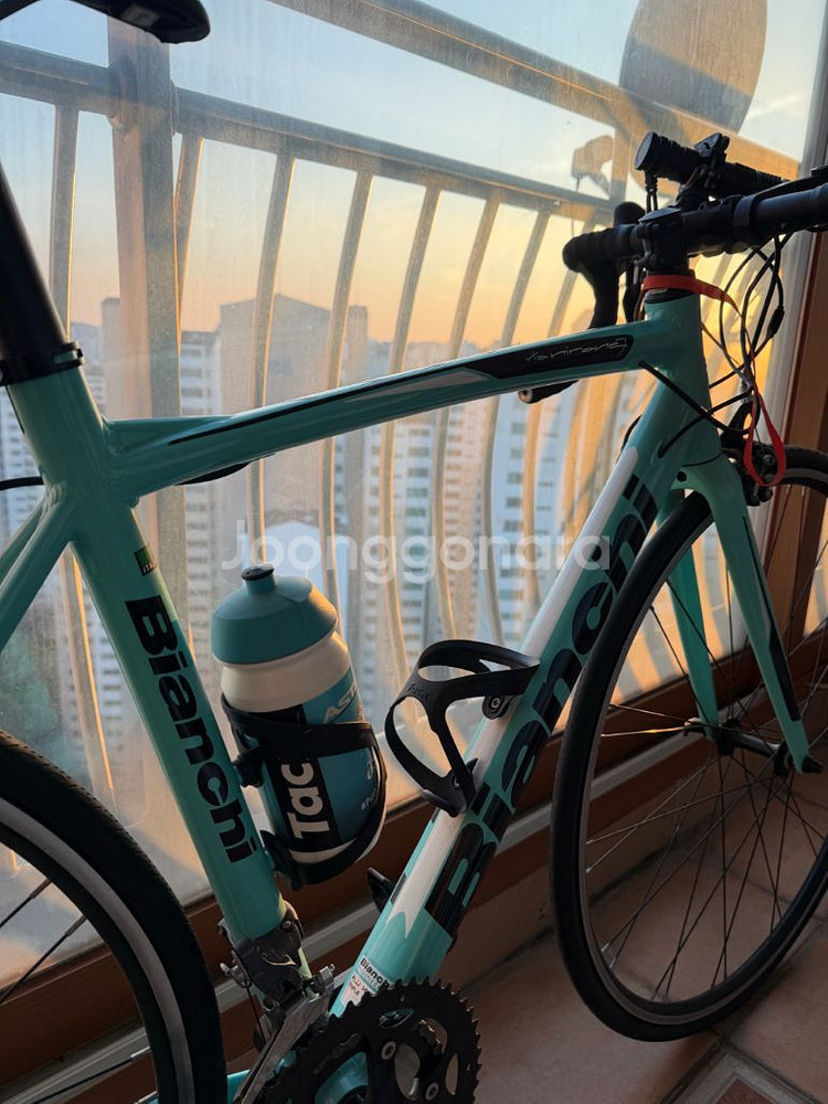 비앙키 니로네7팝니다--1