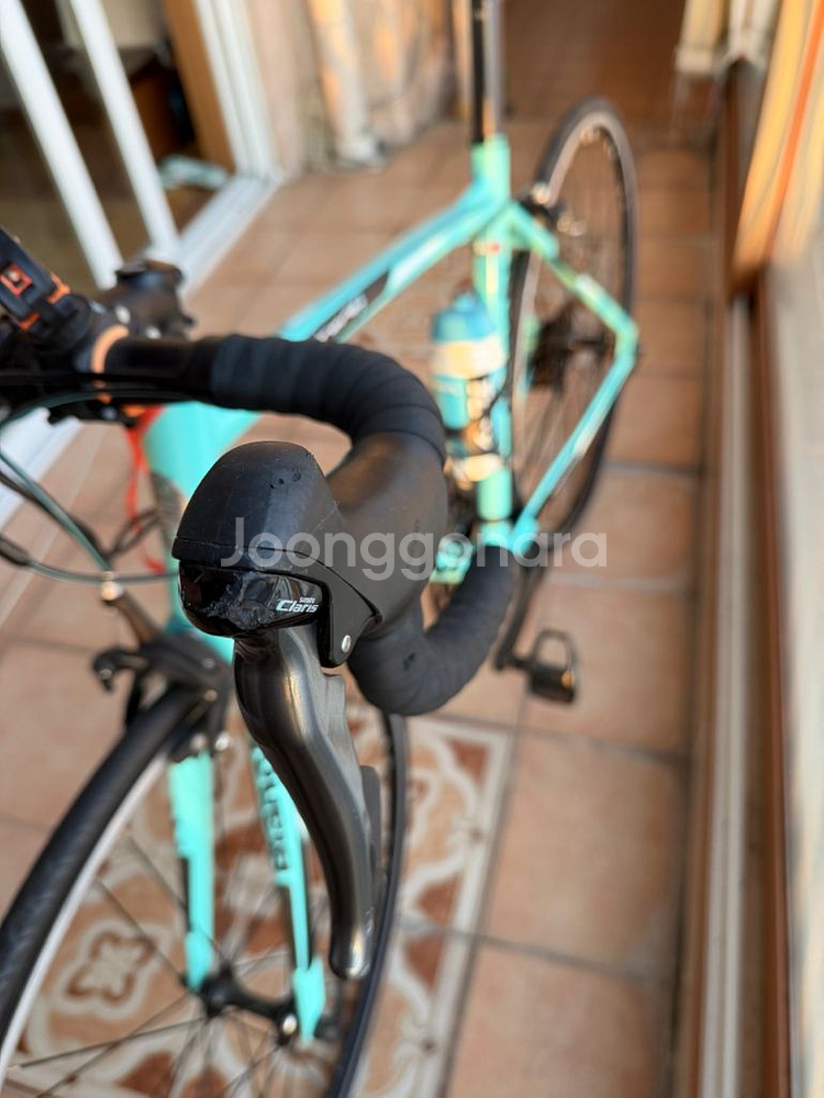 비앙키 니로네7팝니다--7