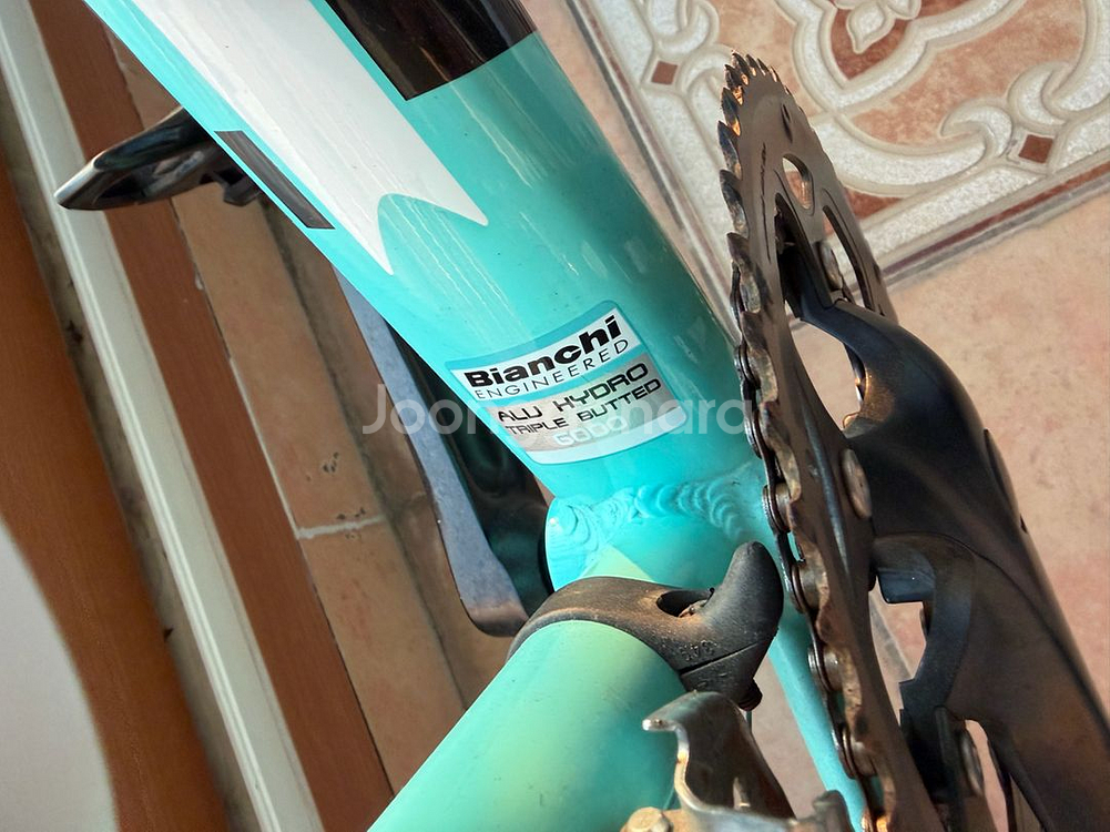 비앙키 니로네7팝니다--8