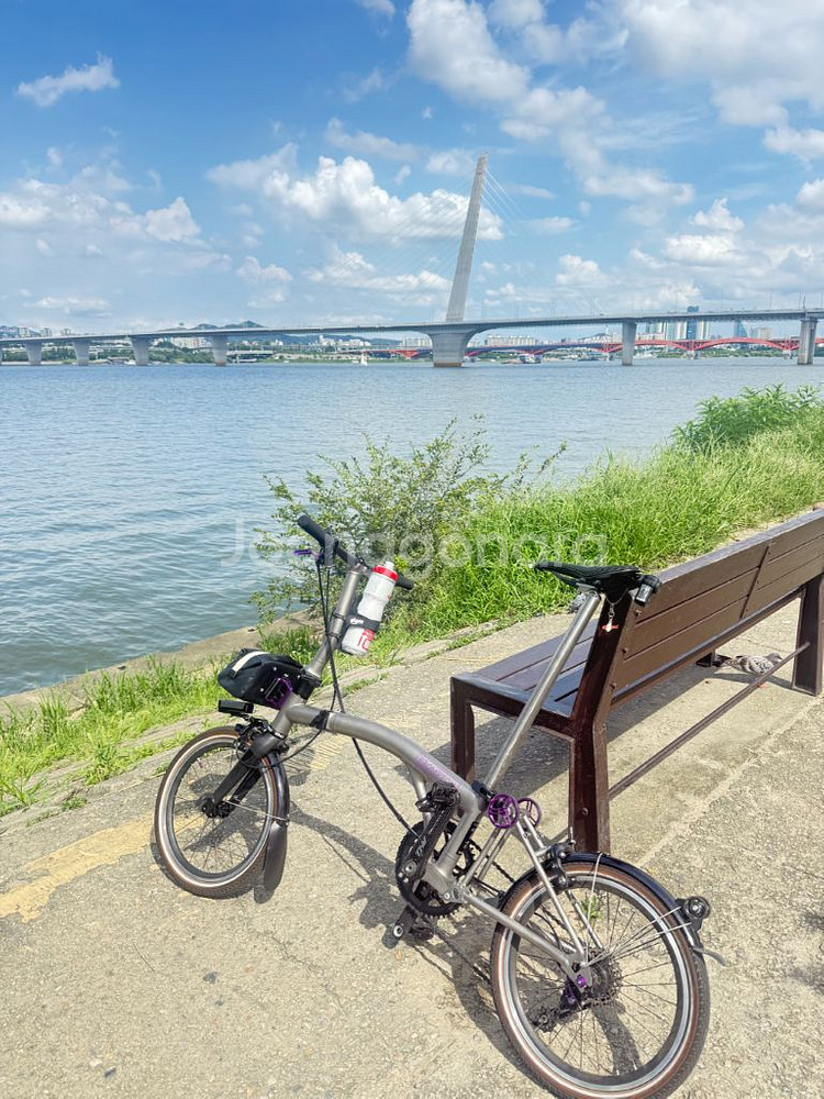 브롬톤 T라인 5단 튜닝 국내 정발. 튜닝 다수--3