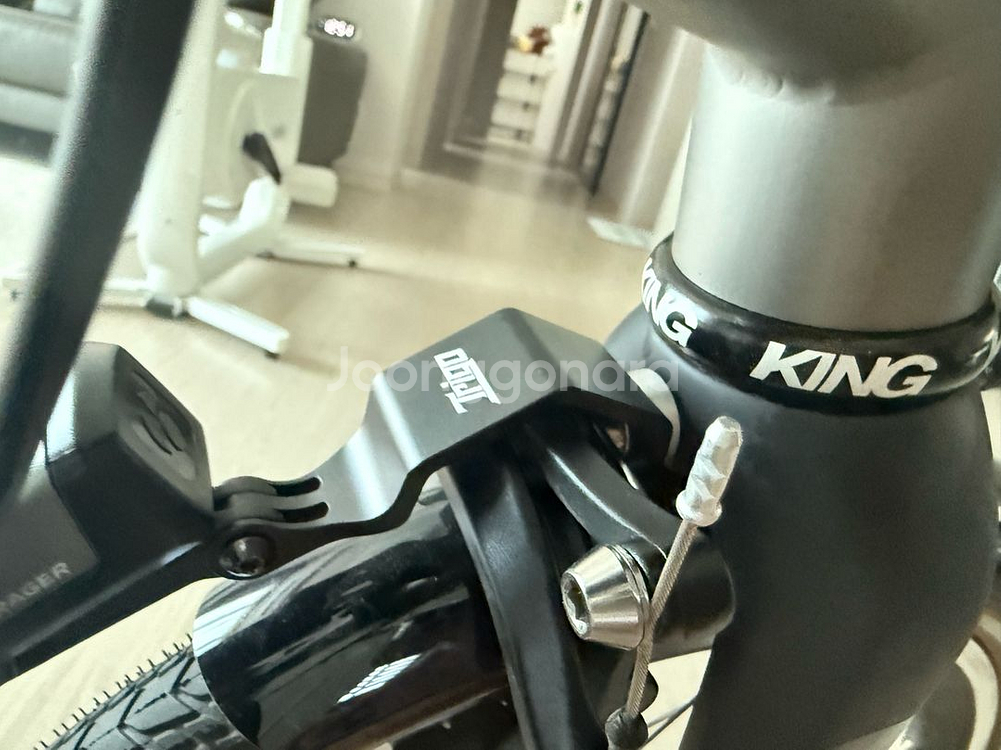 브롬톤 T라인 5단 튜닝 국내 정발. 튜닝 다수--5