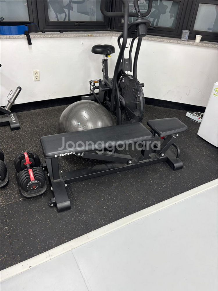 프로그체어 랑 하체운동까지--0