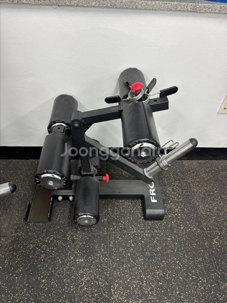 프로그체어 랑 하체운동까지--1