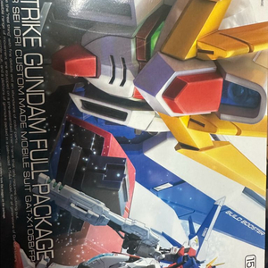 RG 빌드스트라이크 건담 택포