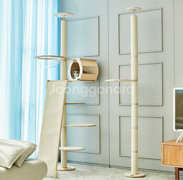 스윗캣 폴앤폴 캣폴 팝니다--0