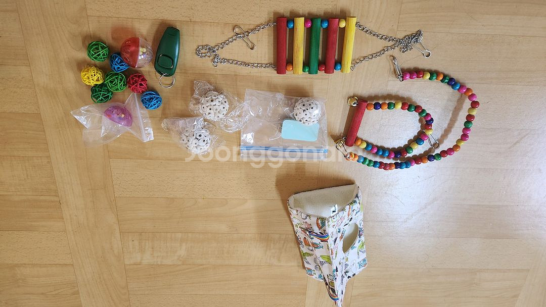 왕관앵무새(새장, 이동장, 먹이, 횃대 등등 포함)--5