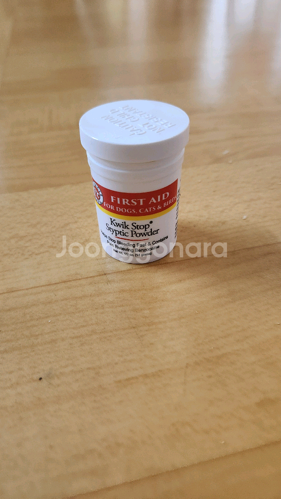 왕관앵무새(새장, 이동장, 먹이, 횃대 등등 포함)--4