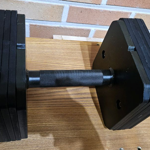 에프몬스터 퀵블럭 무게조절 덤벨 판매