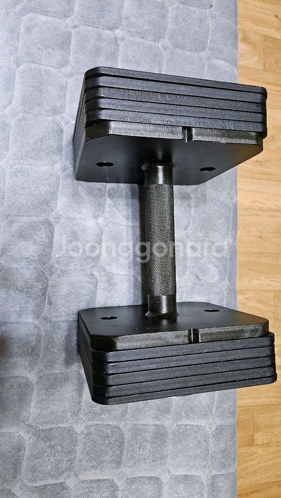 에프몬스터 퀵블럭 무게조절 덤벨 판매--5