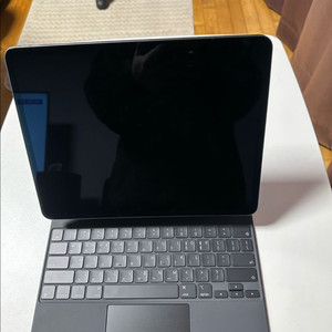 아이패드 프로 12.9 5세대 WiFi (256기가)