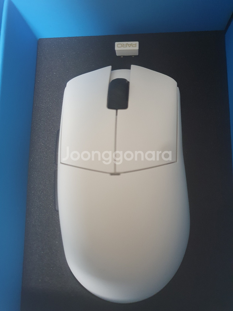 람주 파로 오로라--0