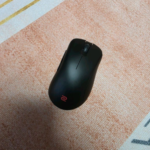 EC1-DW ZOWIE 마우스