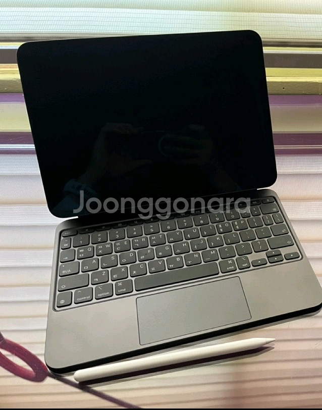 아이패드프로 11 m4 256g 와이파이,애플펜슬프로,--0