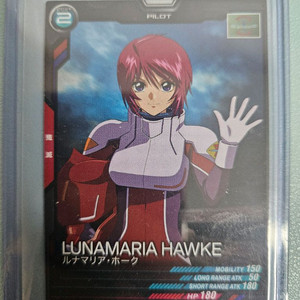 건담 루나마리아 호크 이미지