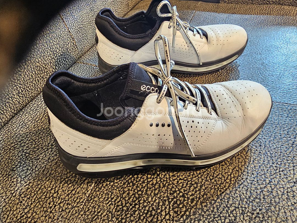 에코 고어텍스 스파이크리스 골프화 42사이즈 270--2