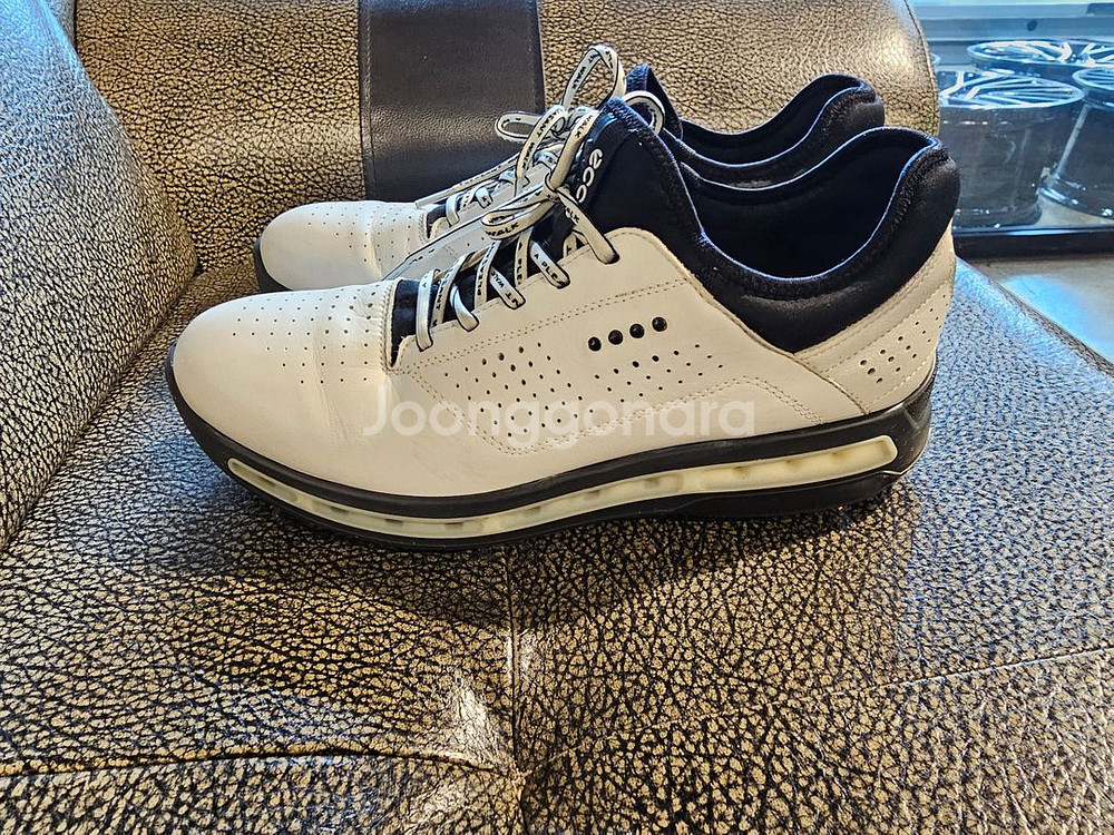 에코 고어텍스 스파이크리스 골프화 42사이즈 270--1