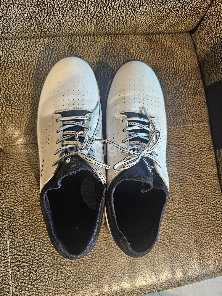 에코 고어텍스 스파이크리스 골프화 42사이즈 270--0