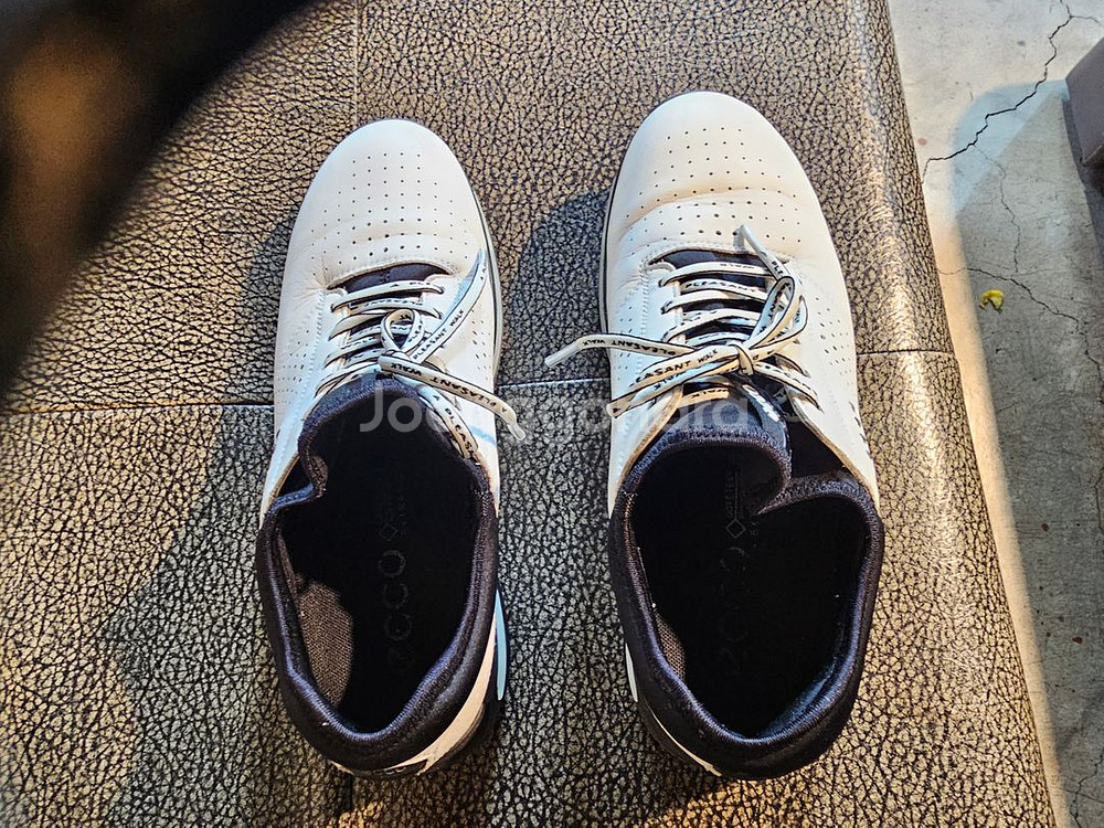 에코 고어텍스 스파이크리스 골프화 42사이즈 270--5