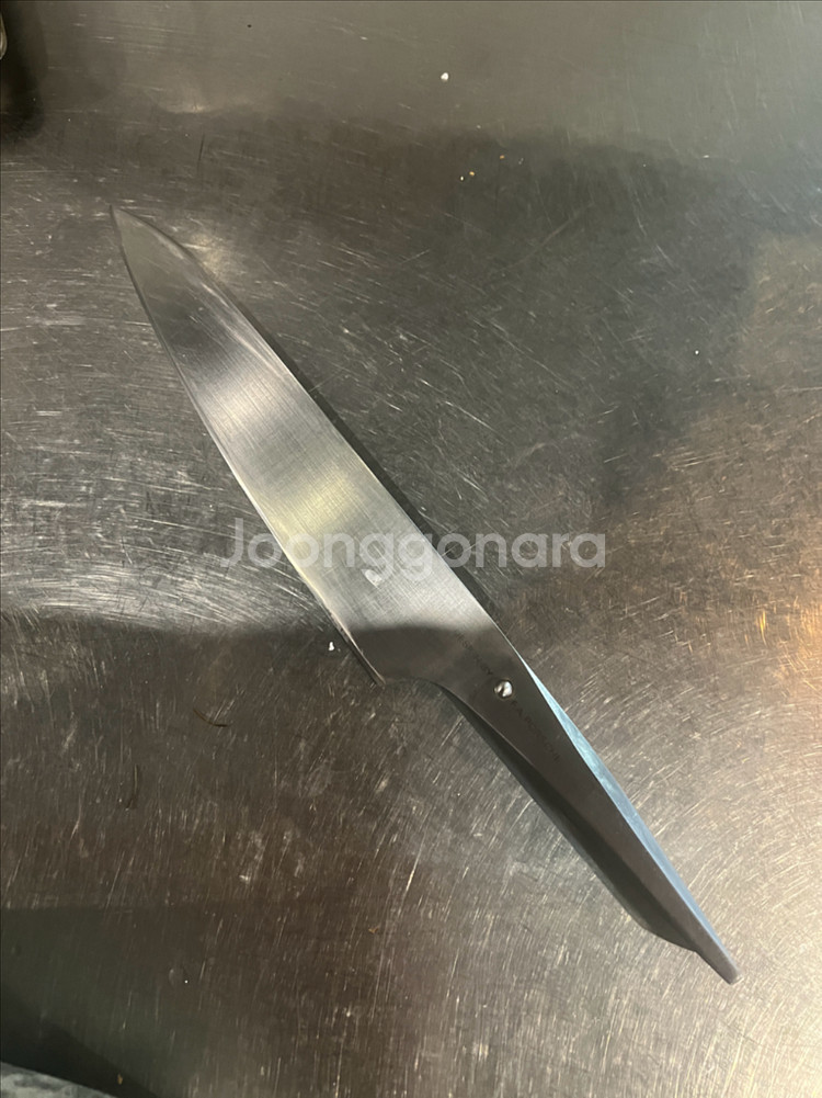 크로마타입301 셰프나이프240mm--1