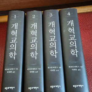 개혁교의학 4권